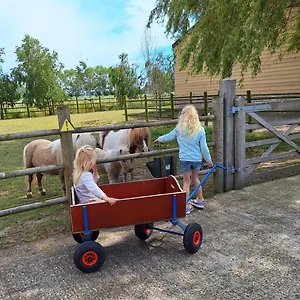  Ferienhaus Vacation Mechelhof Belgien